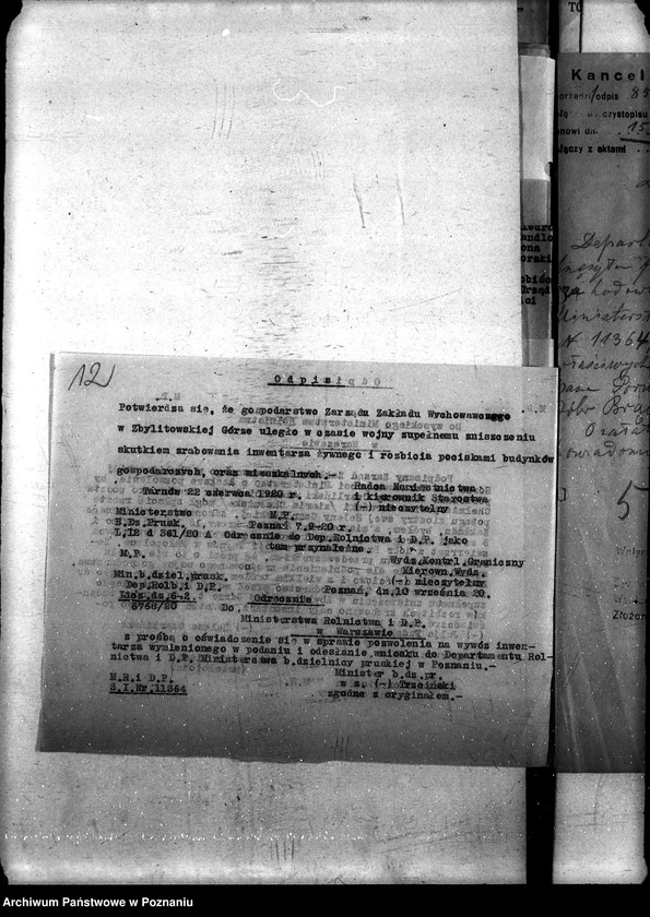 image.from.unit.number "Wywóz bydła"