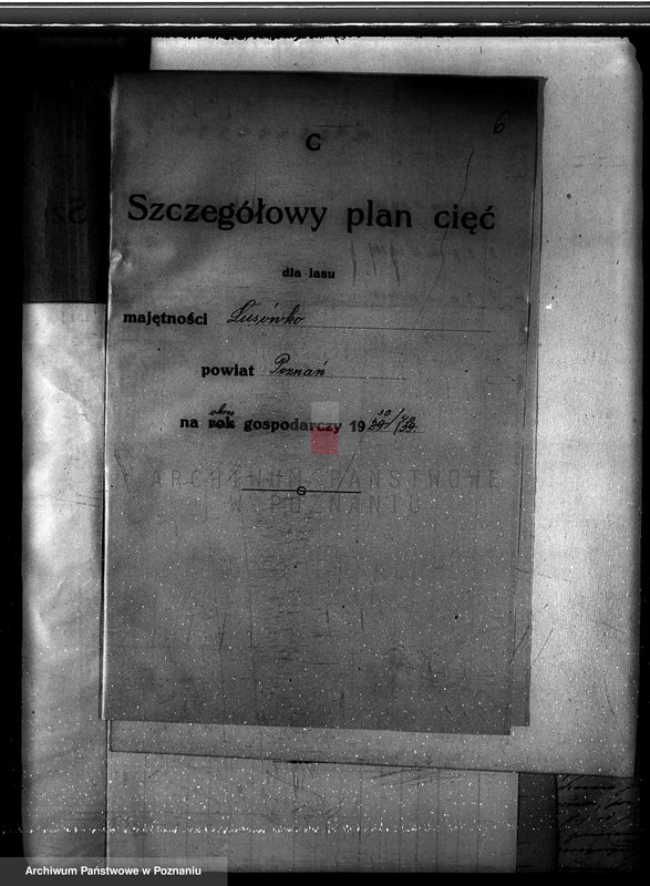 Obraz 10 z jednostki "Plan urządzenia gospodarstwa leśnego dla lasu majętności Lusówko powiat poznański 1930-1940"