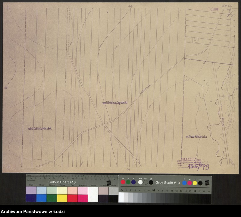 Obraz 1 z jednostki "Plan miasta Łodzi. Sekcja SW 54"
