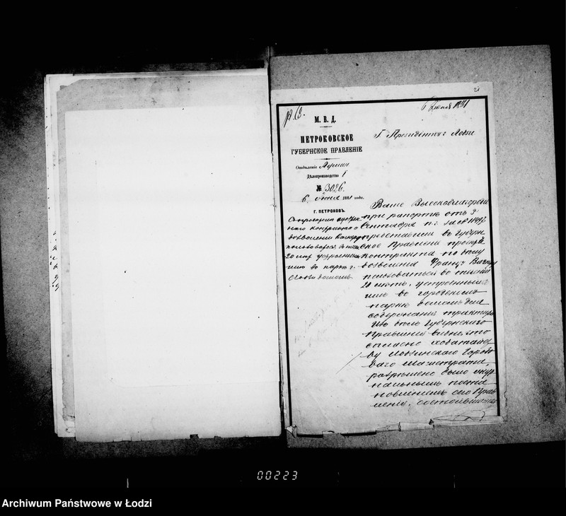 Obraz 17 z jednostki "O gorodskom parke "Kvelja""