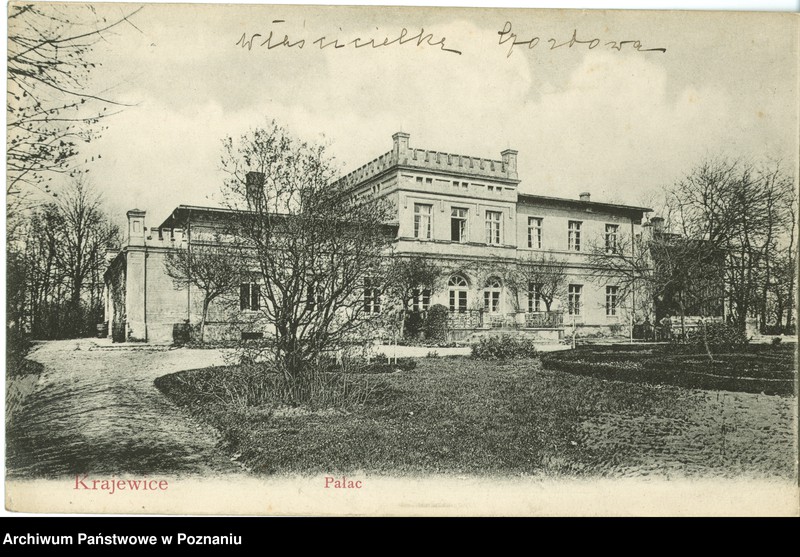 Obraz 1 z jednostki "Krajewice - pałac"