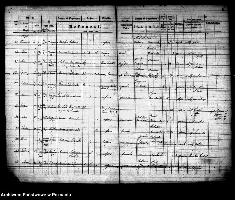 Obraz 4 z jednostki "Księga zgonów"