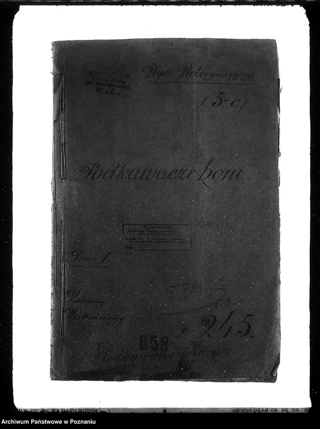 Obraz 4 z jednostki "Podkuwacze koni"