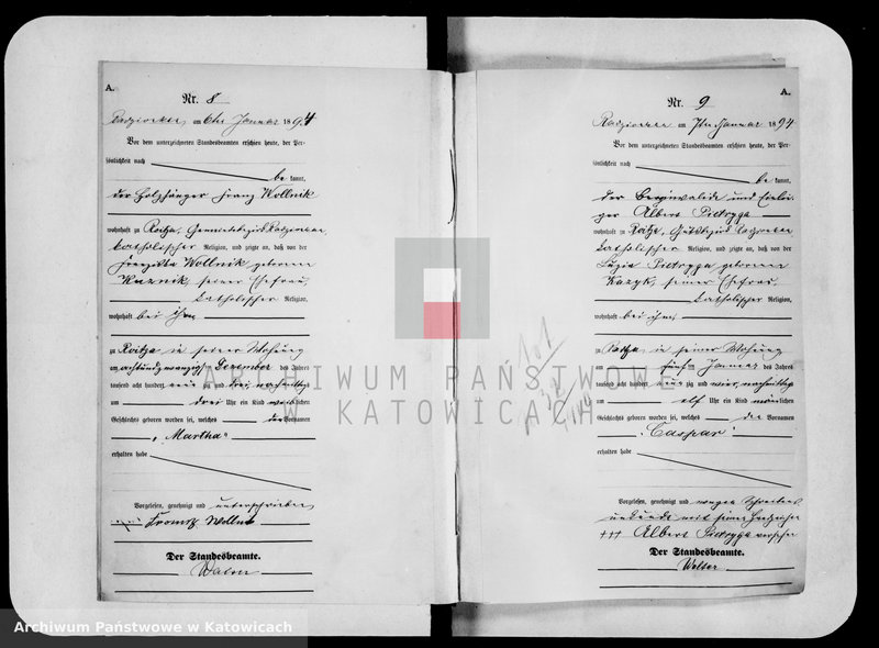 image.from.unit.number "Księga urodzeń za rok 1894 [nr 1-501]"