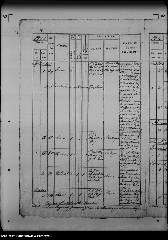 image.from.unit.number "[Kopie ksiąg metrykalnych parafii Sucha Wola (dekanat Lubaczów)]"