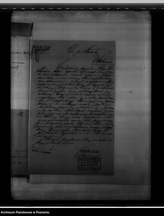 Obraz 15 z jednostki "Różności miasta Sulmierzyc"