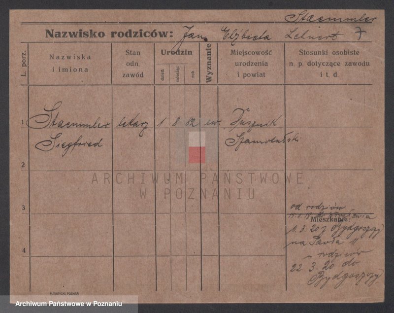 Obraz 16 z jednostki "Stemler - Steńko"