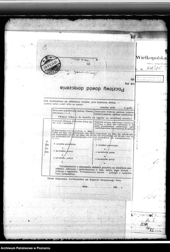 Obraz 12 z jednostki "Nadzór nad gospodarką w lasach majątku Kosowo w powiecie gostyńskim"