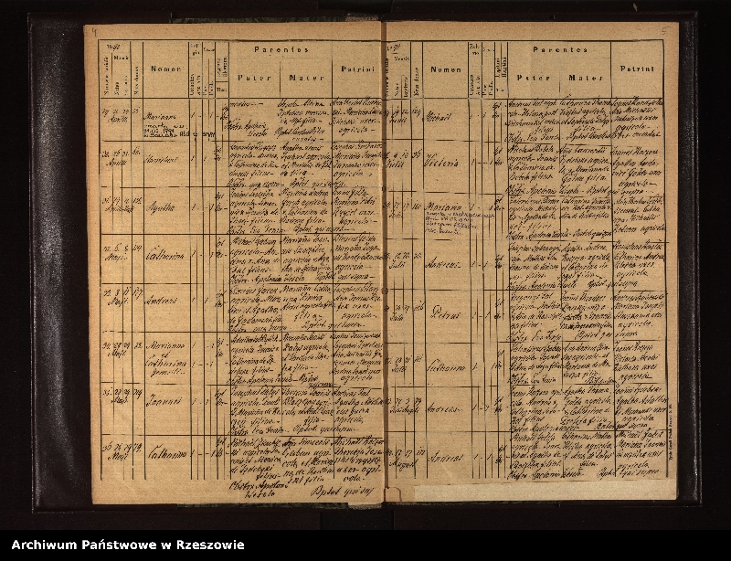 image.from.unit.number "Księga urodzeń dla miejscowości Niebieszczany"