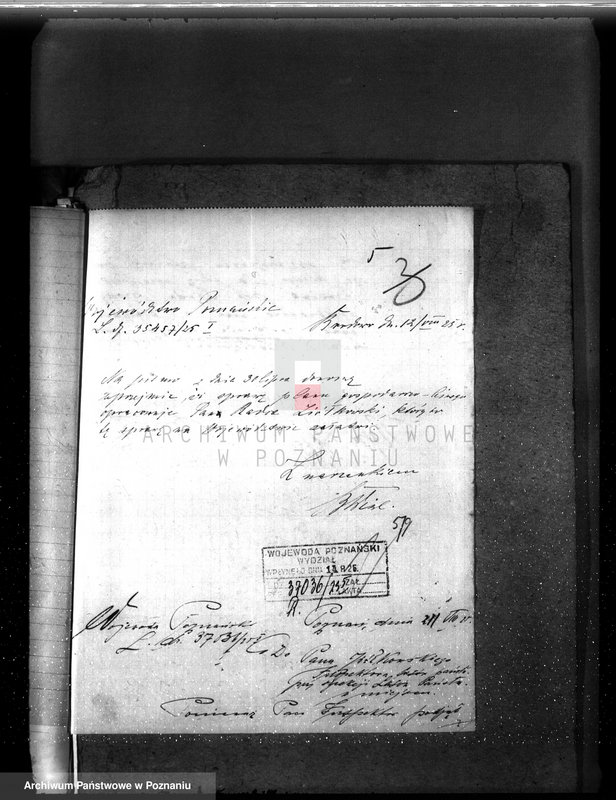 Obraz 9 z jednostki "Majętność leśna Brodowo powiat średzki"