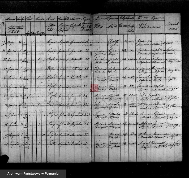 image.from.unit.number "Liber baptisatorum"