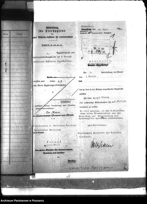 Obraz 5 z jednostki "Nosacizna - Kościan"