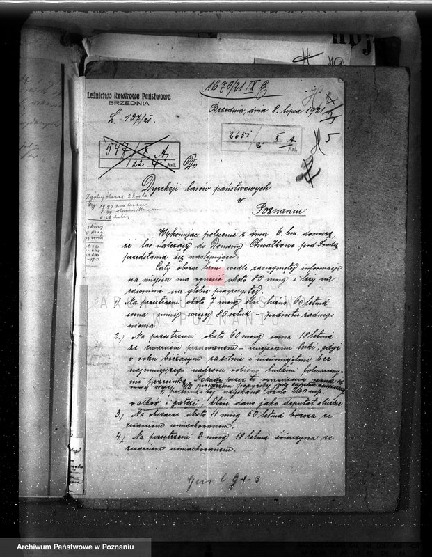 Obraz 10 z jednostki "Drzewostan na majątku państwowym Chwałkowo powiat średzki"