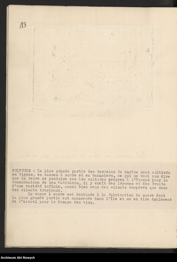 Obraz 16 z kolekcji "Madera111"