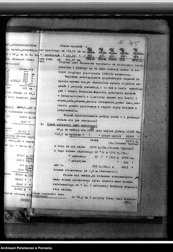 Obraz 20 z jednostki "Majętność /leśna/ Pępowo w powiecie gostyńskim"