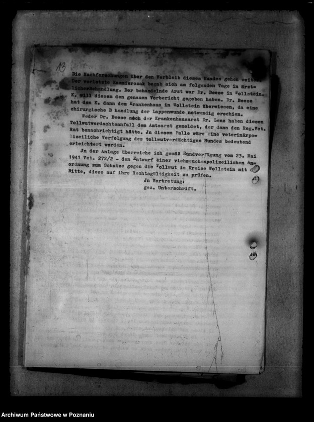 Obraz 17 z jednostki "Tollwut"