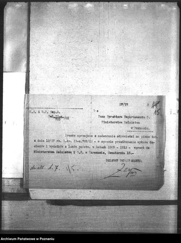 Obraz 18 z jednostki "Leśnictwo"