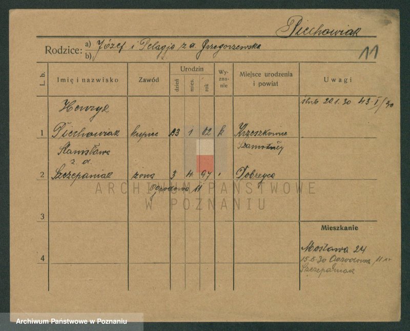 Obraz 11 z jednostki "Piechowiak - Piecznik"