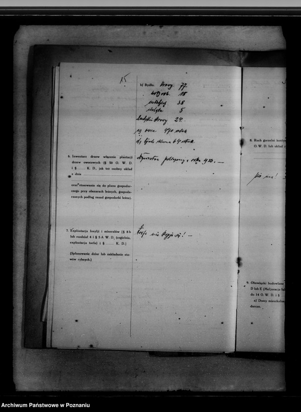 Obraz 19 z jednostki "Rewizje domeny Łęka"