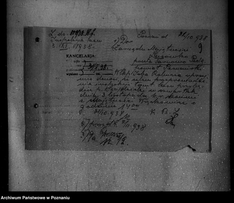 Obraz 13 z jednostki "Nadzór nad gospodarką w lasach majętności Lusówko powiatu poznańskiego"