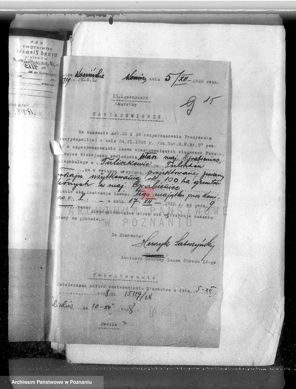 Obraz 19 z jednostki "Majątek Grabienice powiat koniński /nadzór nad gospodarką leśną/"