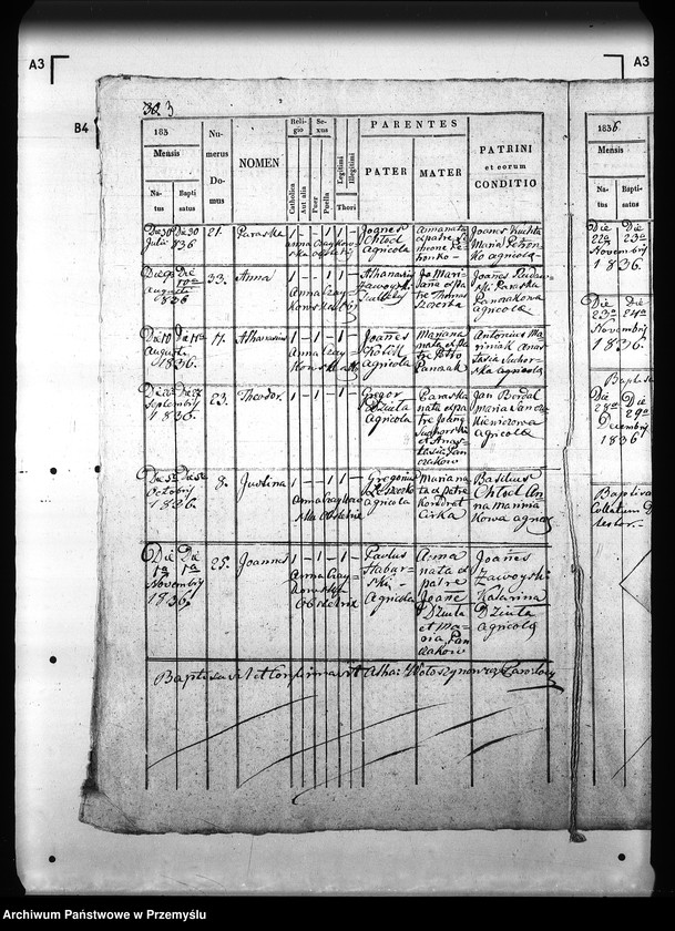 Obraz 7 z jednostki "[Kopie ksiąg metrykalnych parafii Królik Wołoski z filią Królik Polski (dekanat Rymanów)]"