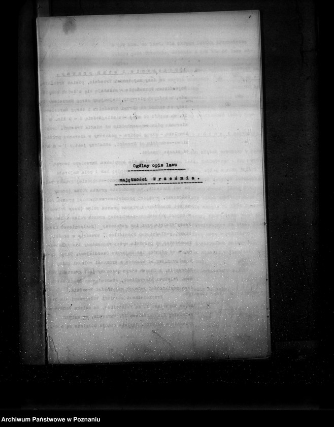 Obraz 5 z jednostki "Ogólny opis lasu majętności Września (plan cięć i plan urządzenia gospodarstwa leśnego)"