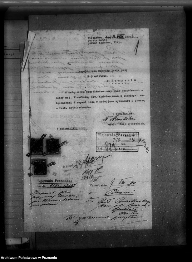 Obraz 5 z jednostki "Majętność /leśna/ Wieszkowo powiat kościański"