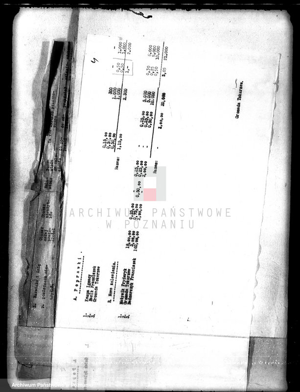 Obraz 8 z jednostki "/Sprawozdania z zalesienia nieużytków na terenie powiatu kępińskiego"