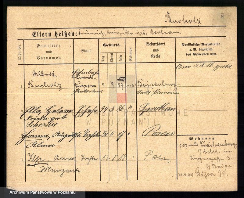 Obraz 10 z jednostki "Buchholz - Buczyński"