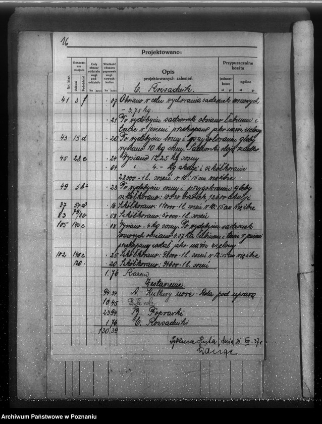 Obraz 20 z jednostki "Plan cięć lasu majętności Łomnica powiat nowotomyski"