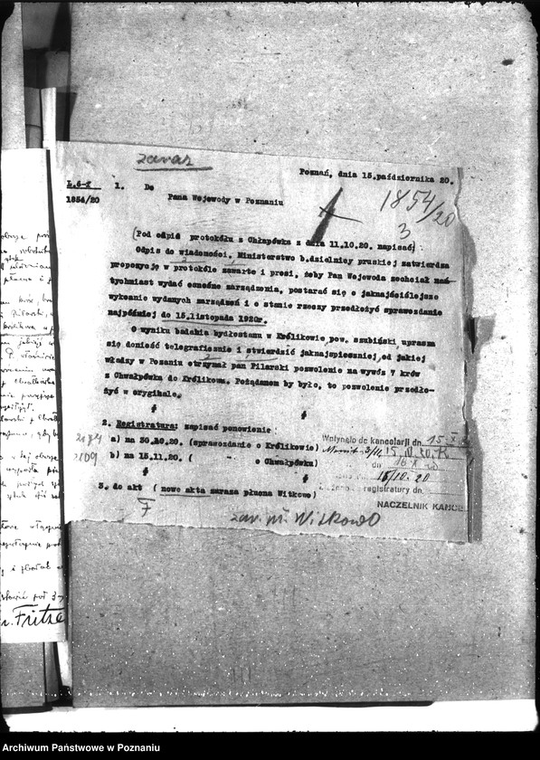 Obraz 7 z jednostki "Zaraza płucna - Witkowo"