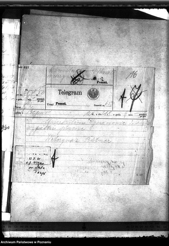 Obraz 20 z jednostki "Zaraza płucna - Kępno"