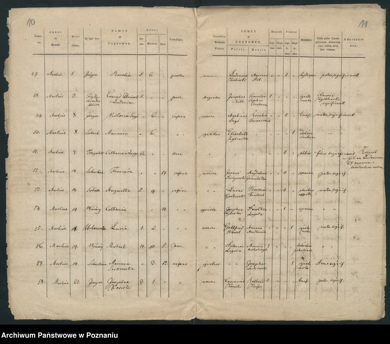 Obraz 8 z jednostki "Księga zgonów"