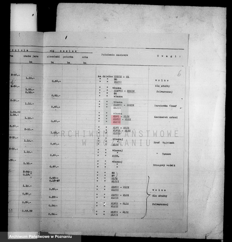 Obraz 11 z jednostki "Rejestr pomiarowy zasiewów części majątku Falmierowo powiatu wyrzyskiego"