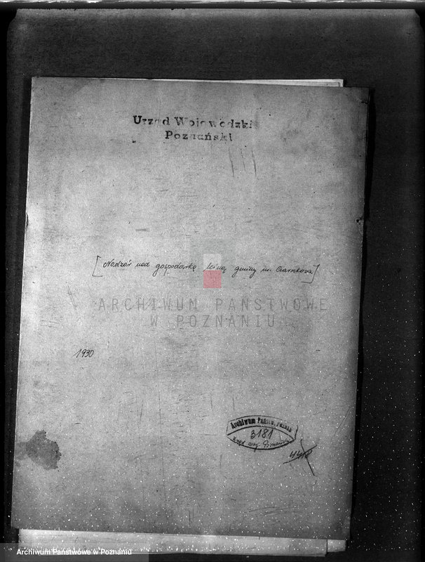 Obraz 4 z jednostki "/Nadzór nad gospodarką leśną gminy miasta Czarnkowa"