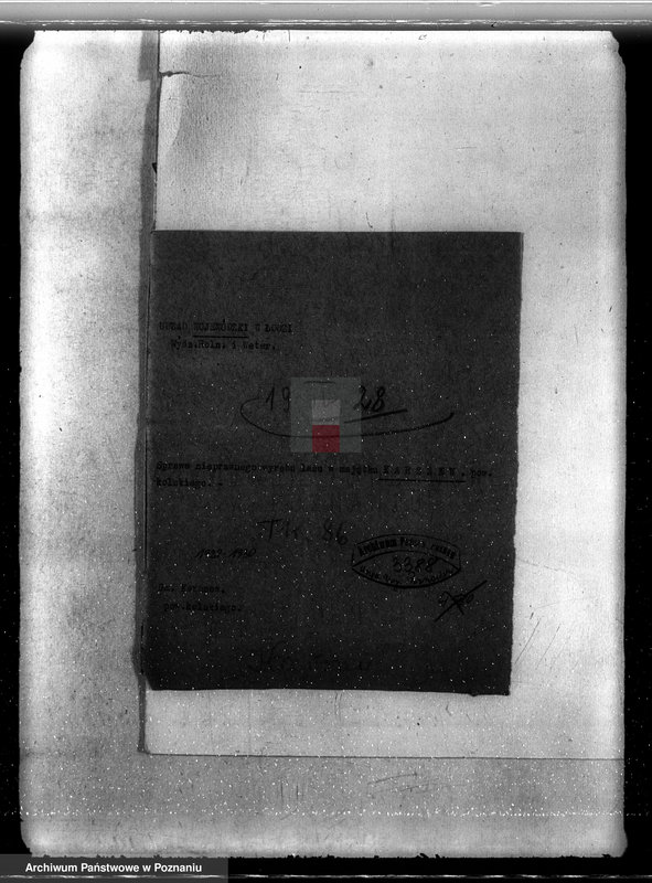 Obraz 4 z jednostki "Sprawa nieprawego wyrębu lasu w majątku Karczew w powiecie kolskim"