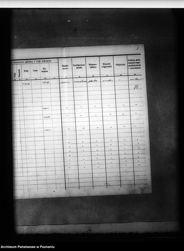 Obraz 16 z jednostki "Operat szacunkowy Jagodowo powiatu bydgoskiego"