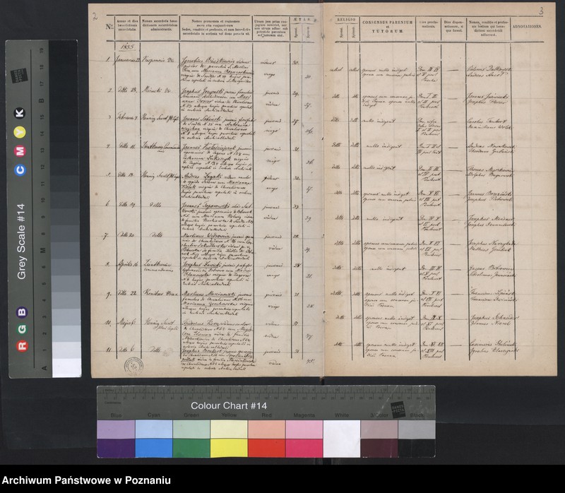Obraz 4 z jednostki "Księga małżeństw"