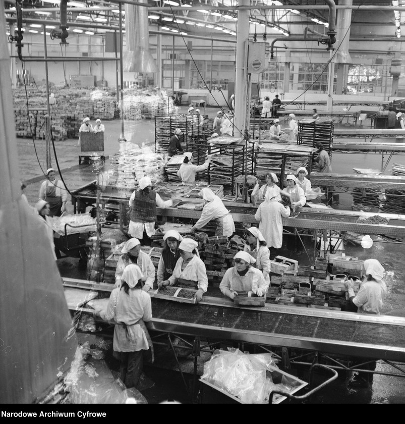 Obraz 3 z jednostki "Zakład produkcyjny Przedsiębiorstwa Handlu Zagranicznego "Hortex" w Płońsku"