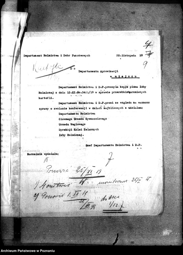 Obraz 13 z jednostki "Kartofle"