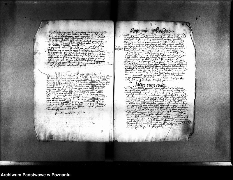 Obraz 15 z jednostki "Inscriptiones, relationes, decreta [inducta]"