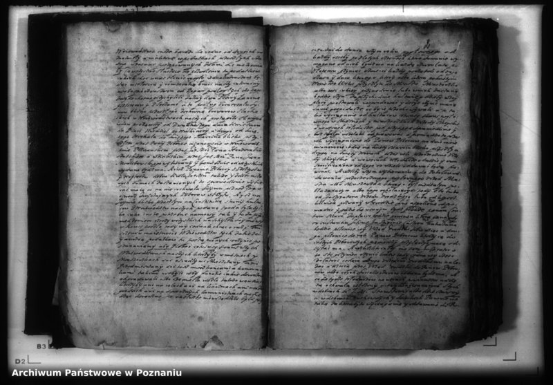 Obraz 4 z jednostki "Lauda [acticantia]"