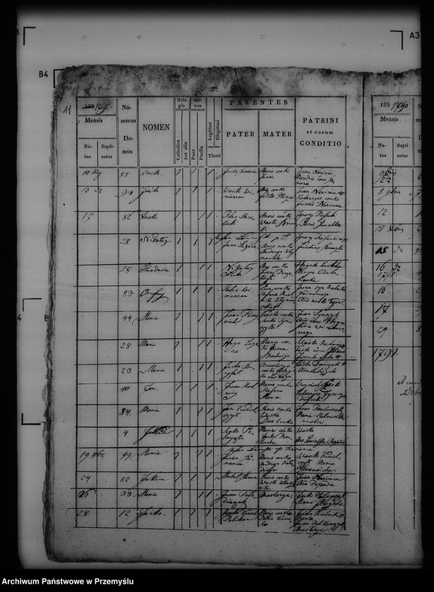 Obraz 15 z jednostki "[Kopie ksiąg metrykalnych parafii Trzcianiec (dekanat Bircza)]"