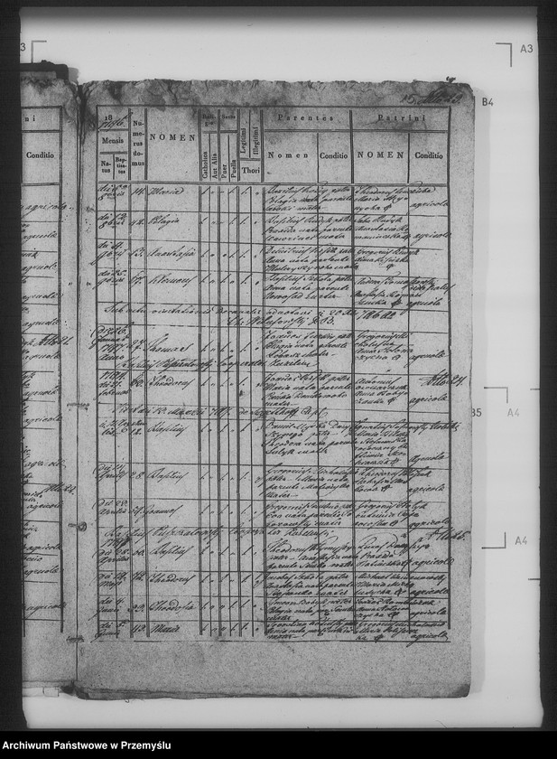 Obraz 20 z jednostki "[Kopie ksiąg metrykalnych parafii Żabcze Murowane z filią Bezejów (dekanat Bełz)]"