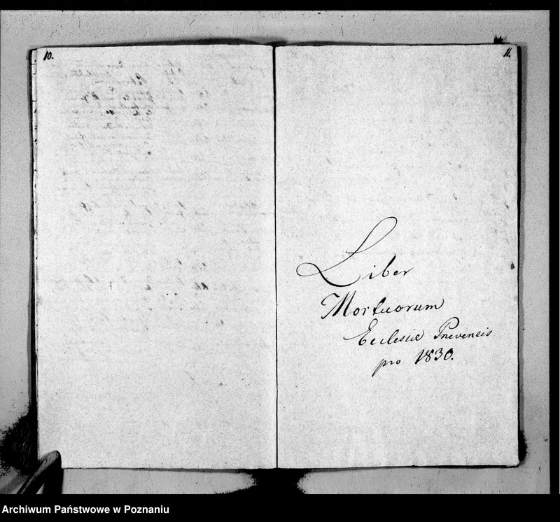Obraz 8 z jednostki "Duplicat baptisatorum, copulatorum, mortuorum"