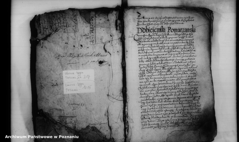 Obraz 4 z jednostki "Inscriptiones [inducta]"