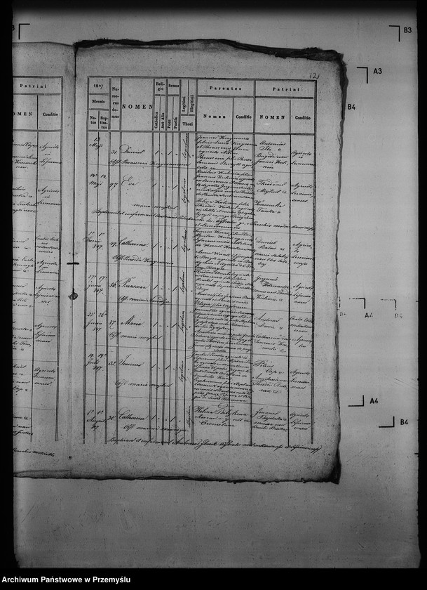 Obraz 17 z jednostki "[Kopie ksiąg metrykalnych parafii Mołoszkowice z filią Leśniowice (dekanat Jaworów)]"