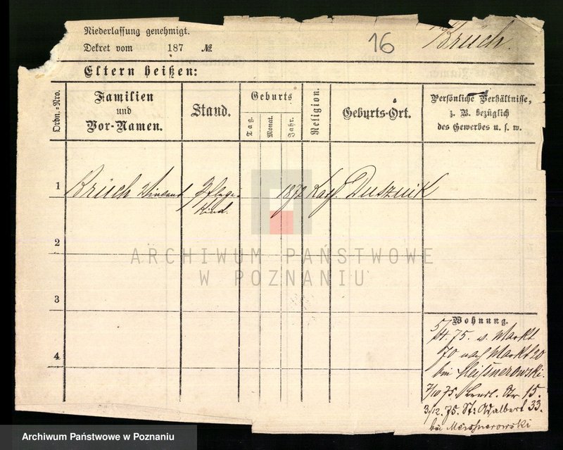 Obraz 18 z jednostki "Brych - Bryt"