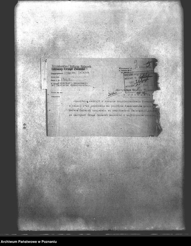 Obraz 13 z jednostki "Polowanie na jeziorze Bytyńskim Komorowo-Gorzewice"